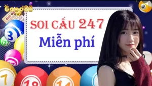 Soi Cầu 247 Miền Bắc