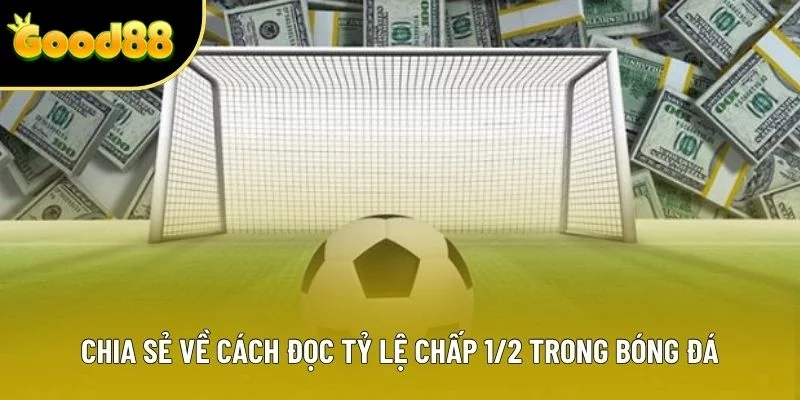 Chia sẻ về cách đọc tỷ lệ chấp 1/2 trong bóng đá Chia sẻ về cách đọc tỷ lệ chấp 1/2 trong bóng đá