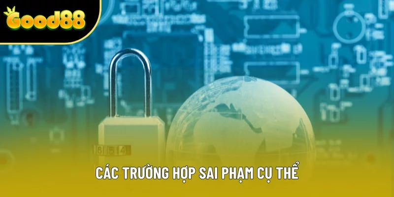 Các trường hợp sai phạm cụ thể Các trường hợp sai phạm cụ thể
