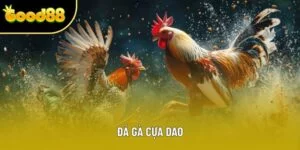 Đá Gà Cựa Dao: Xem Trực Tiếp, Nắm Bắt Kết Quả Nhanh Chóng