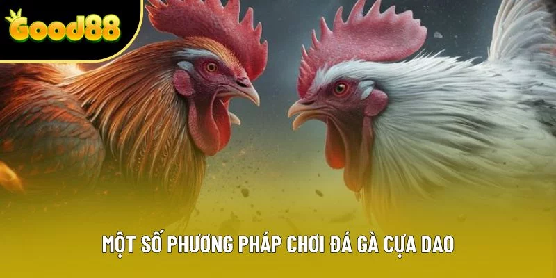 Một số phương pháp chơi đá gà cựa dao Một số phương pháp chơi đá gà cựa dao