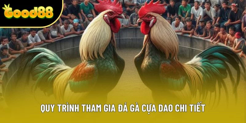 Quy trình tham gia đá gà cựa dao chi tiết Quy trình tham gia đá gà cựa dao chi tiết