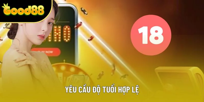 Yêu cầu độ tuổi hợp lệ Yêu cầu độ tuổi hợp lệ