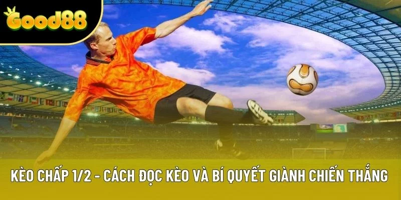 Kèo Chấp 1/2 - Cách Đọc Kèo Và Bí Quyết Giành Chiến Thắng
