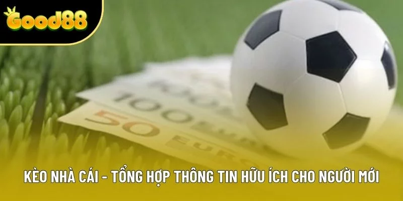 Kèo Nhà Cái - Tổng Hợp Thông Tin Hữu Ích Cho Người Mới 2025