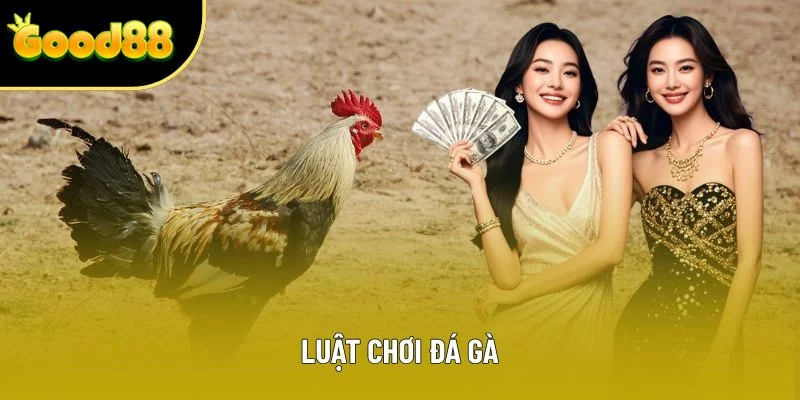Luật Chơi Đá Gà Tại Good88: Cách Đọc Kèo Và Phân Loại Trận
