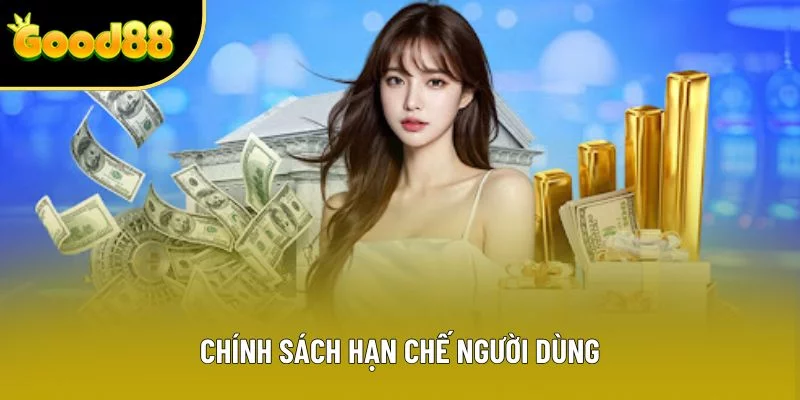 Chính sách hạn chế người dùng