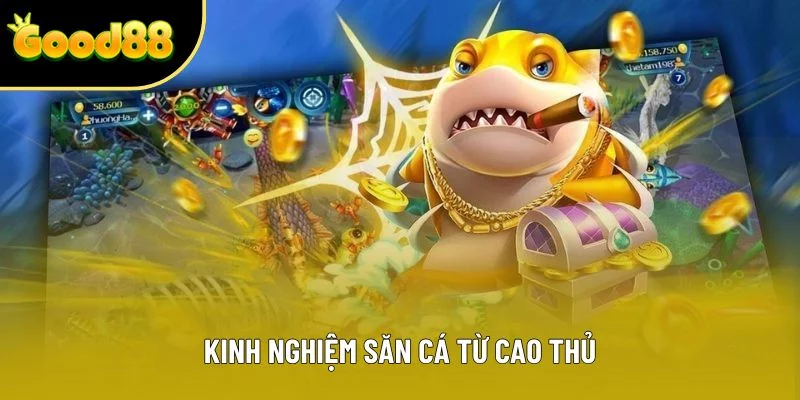 Kinh nghiệm săn cá từ cao thủ