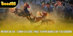 WS168 Đá Gà - Sảnh Cá Cược Trực Tuyến Đẳng Cấp Nhất 2025